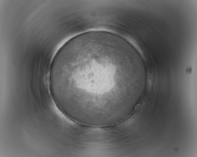 X0000111351100200907241153