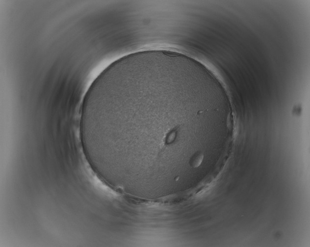 X0000111351102200907241152