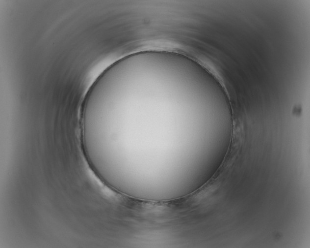 X0000111351103200907241152