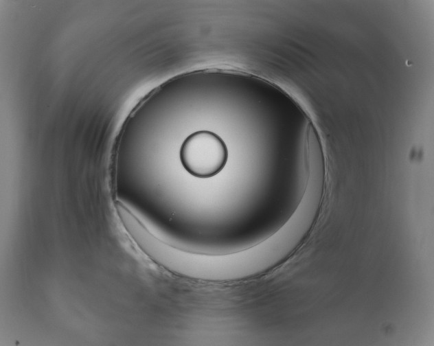 X0000111351104200907241152