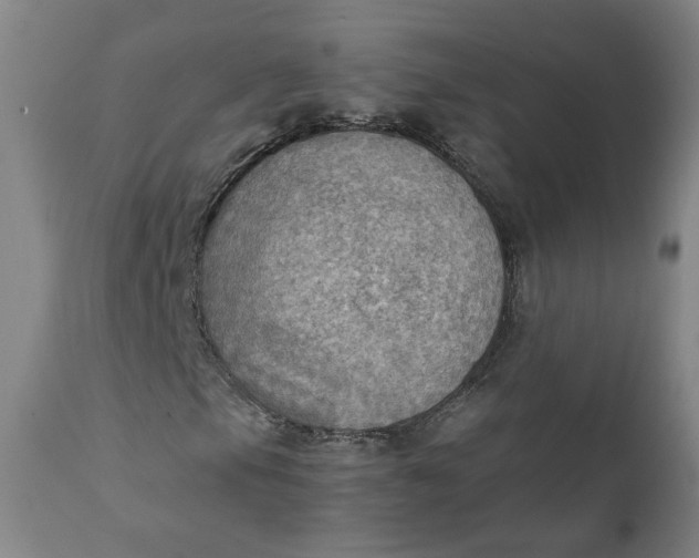 X0000111351105200907241152