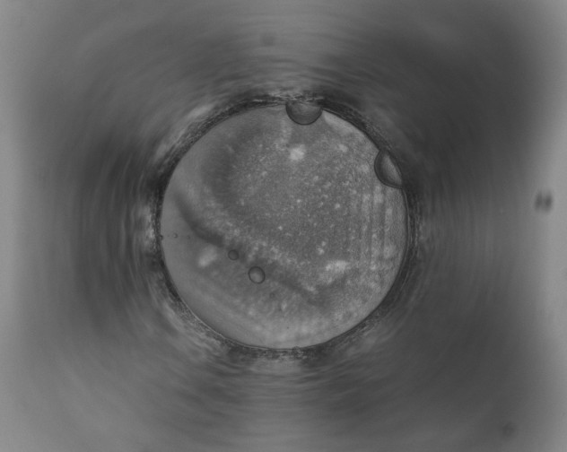 X0000111351106200907241152