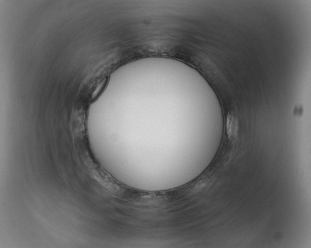 X0000111351107200907241152