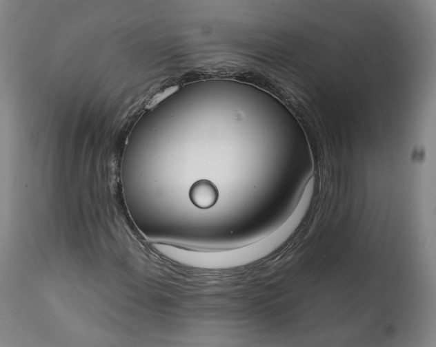 X0000111351108200907241152