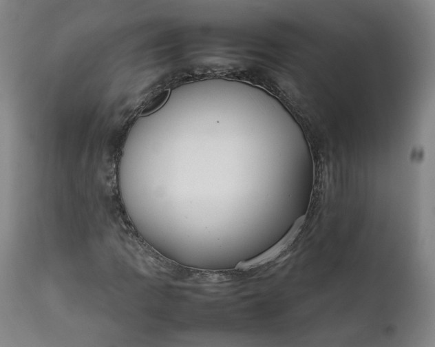 X0000111351109200907241152