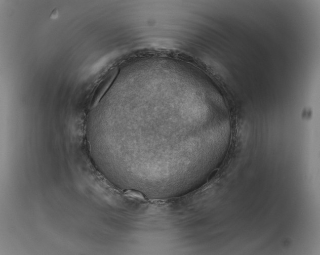 X0000111351110200907241152