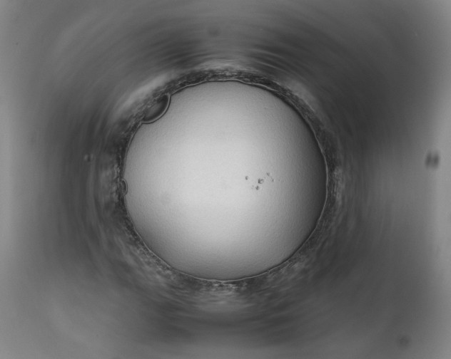 X0000111351111200907241152