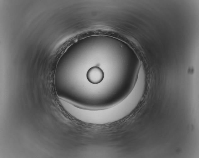 X0000111351112200907241152