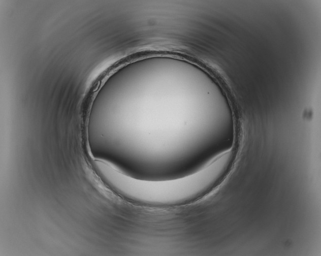 X0000111351114200907241152