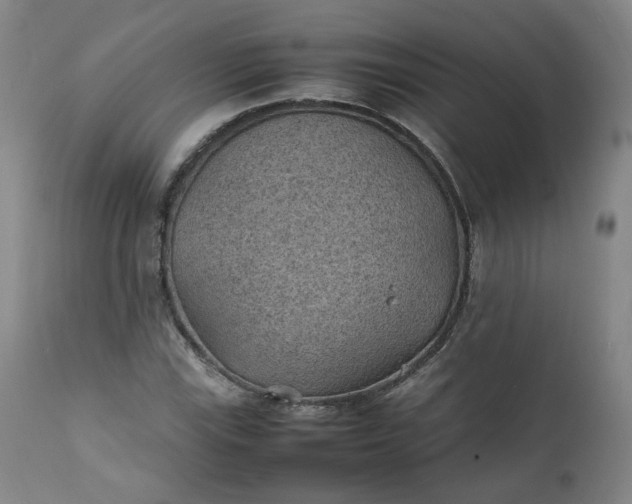 X0000111351115200907241152