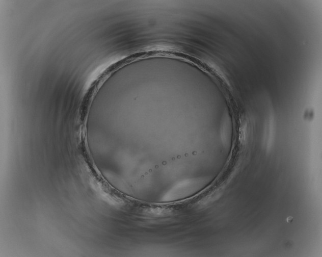 X0000111351117200907241152