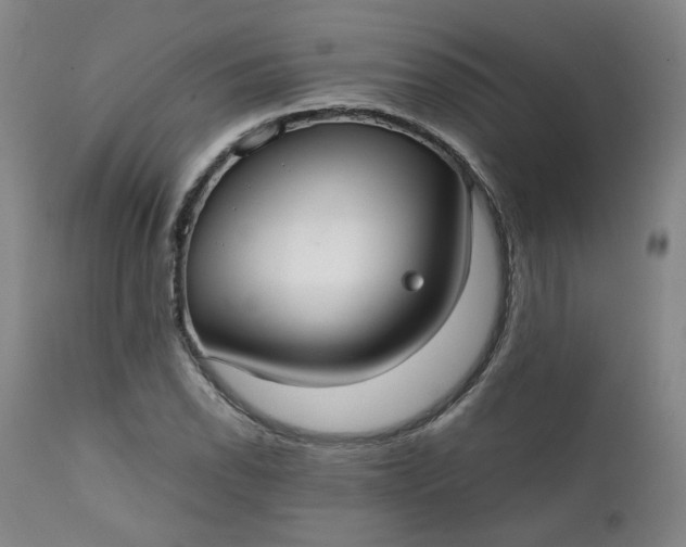 X0000111351118200907241152