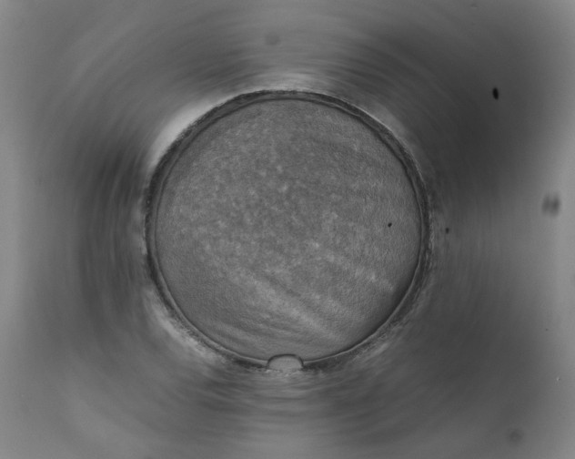 X0000111351120200907241152