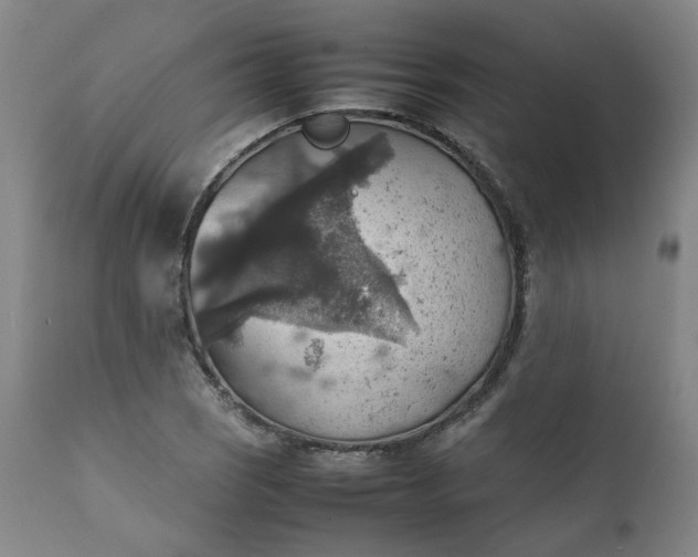 X0000111351121200907241152