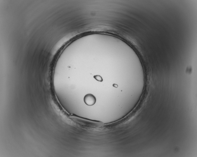 X0000111351122200907241152