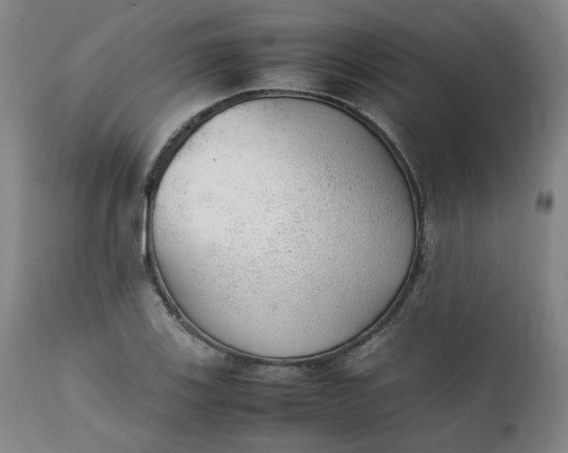 X0000111351123200907241152