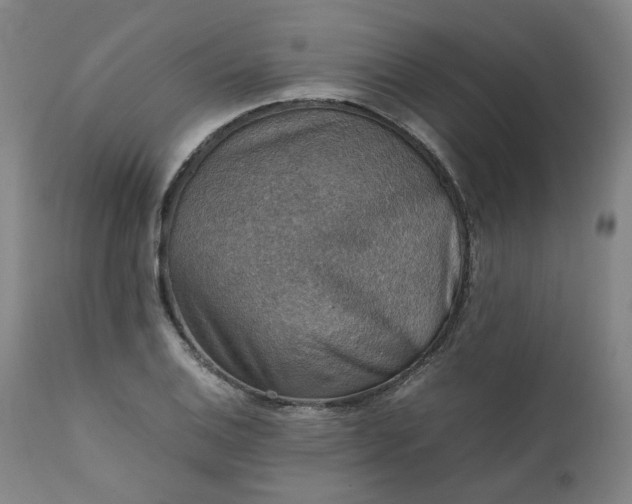 X0000111351124200907241152