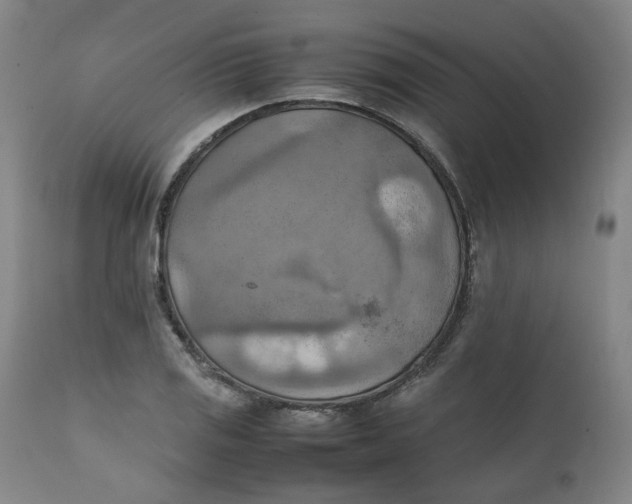 X0000111351125200907241152