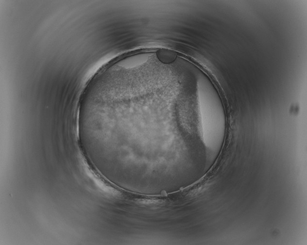 X0000111351127200907241152