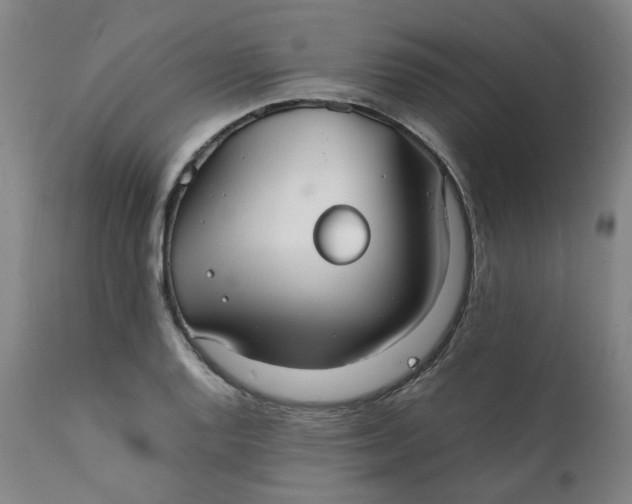 X0000111351128200907241152