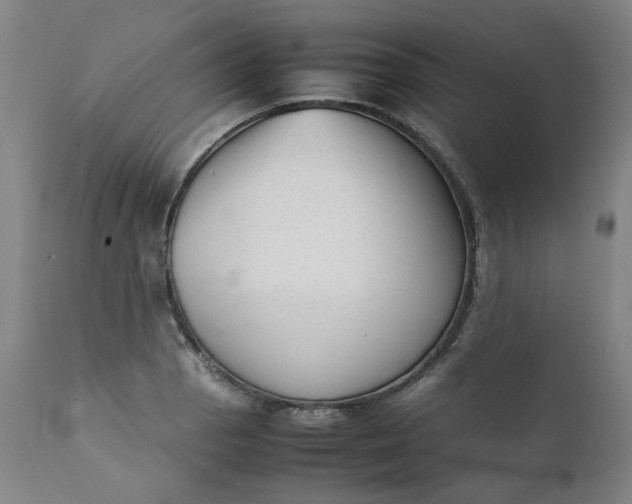 X0000111351129200907241152