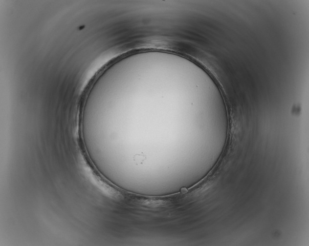 X0000111351131200907241152