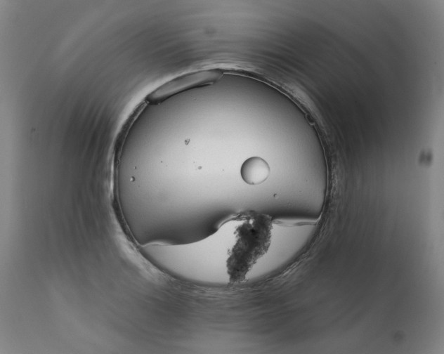 X0000111351132200907241152