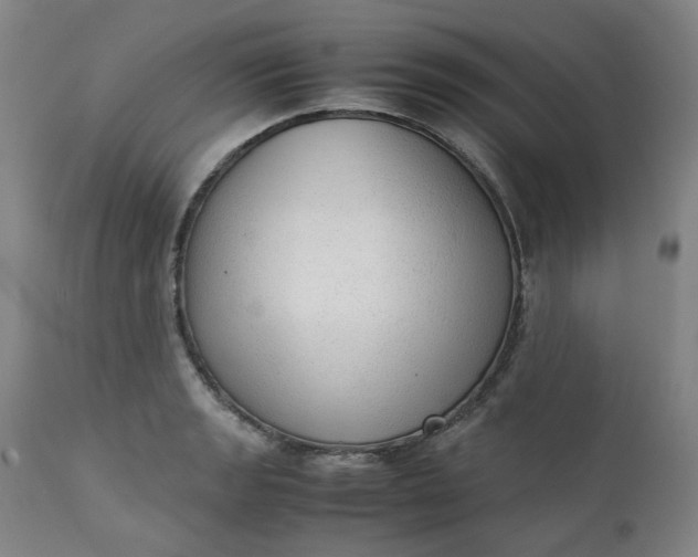 X0000111351133200907241152