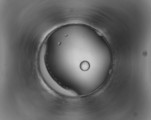 X0000111351134200907241152