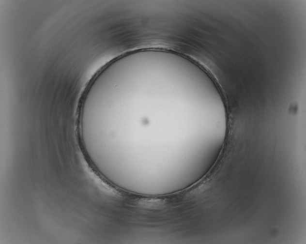 X0000111351135200907241152