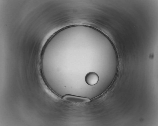 X0000111351136200907241152