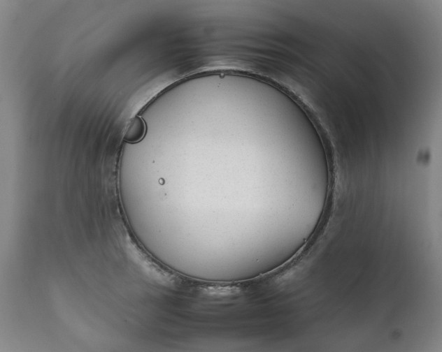 X0000111351137200907241152