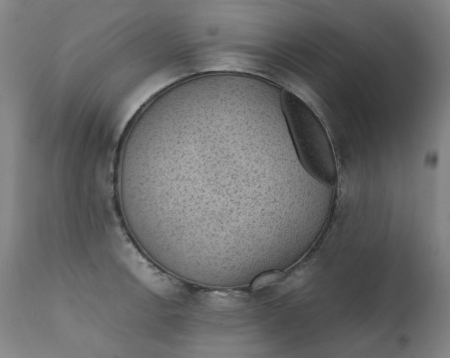 X0000111351138200907241152