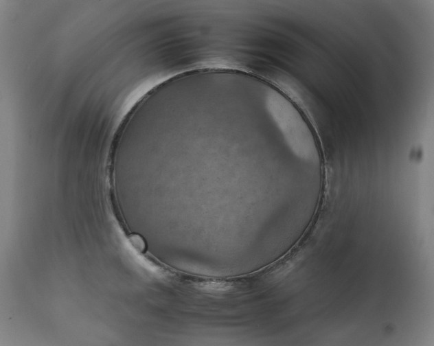 X0000111351141200907241152