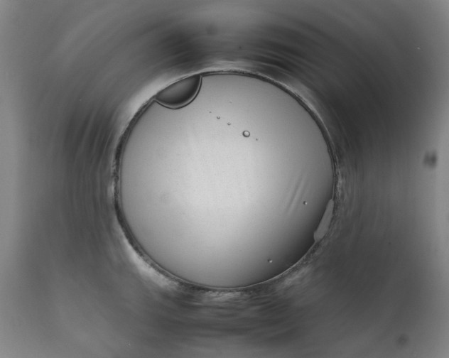 X0000111351143200907241152