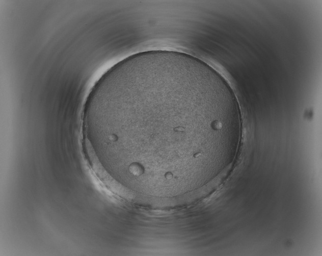 X0000111351144200907241152