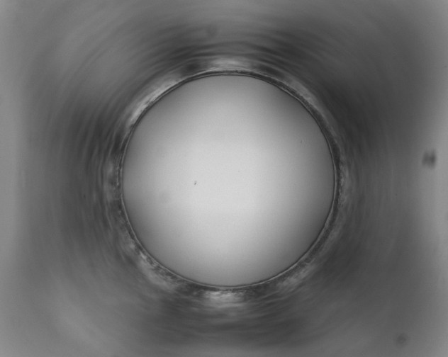 X0000111351145200907241152