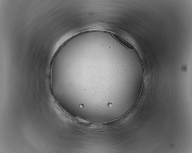 X0000111351146200907241152