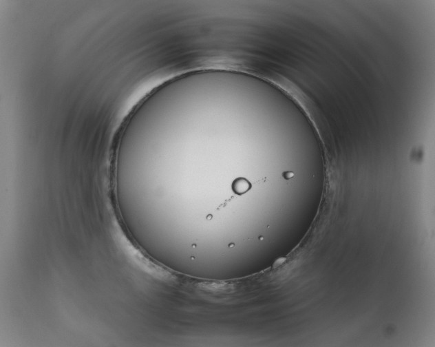 X0000111351147200907241152