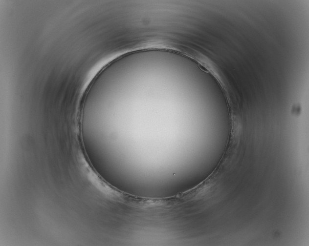 X0000111351148200907241152