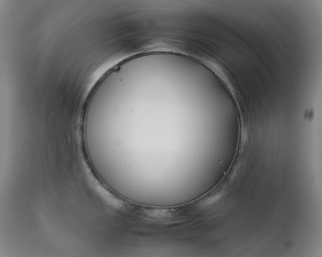 X0000111351149200907241152