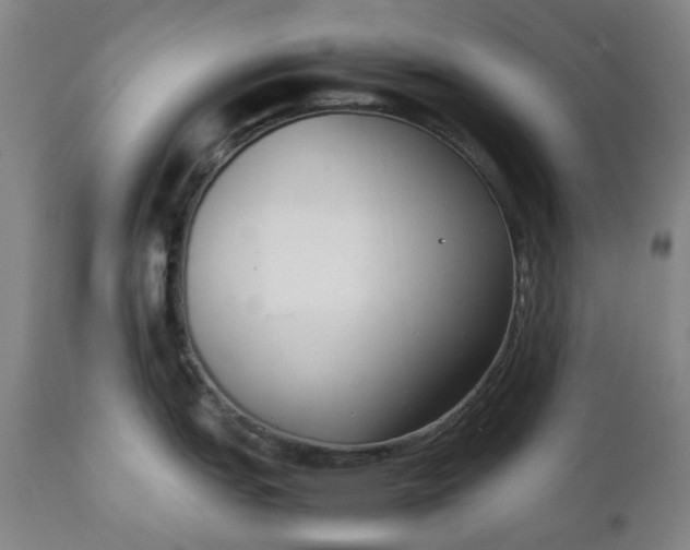 X0000111351151200907241152