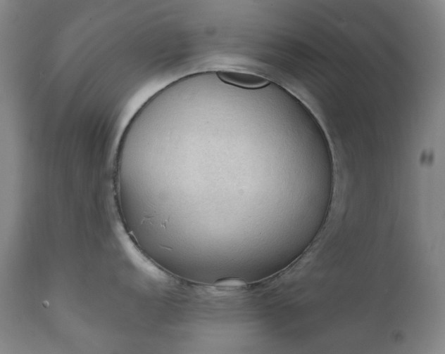 X0000111351152200907241152