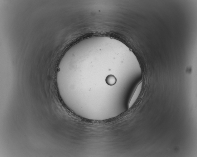 X0000111351153200907241152