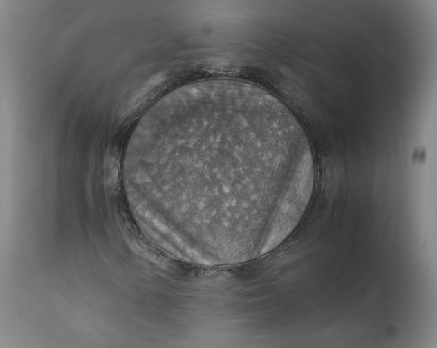 X0000111351154200907241152