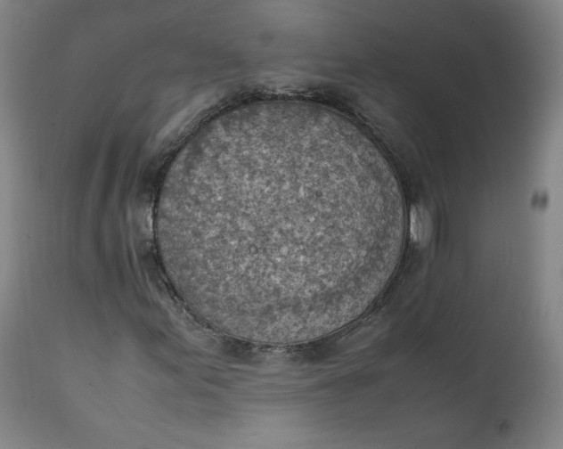 X0000111351155200907241152