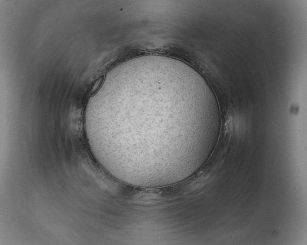 X0000111351156200907241152