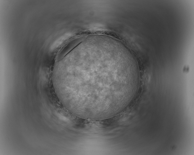 X0000111351157200907241152