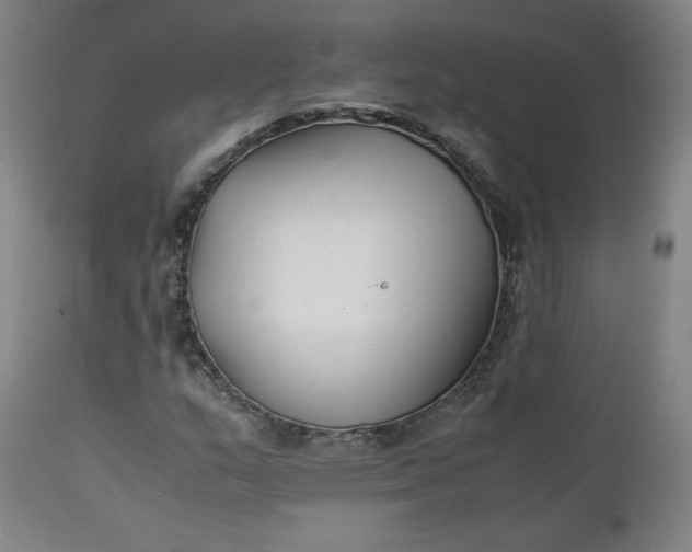 X0000111351159200907241152