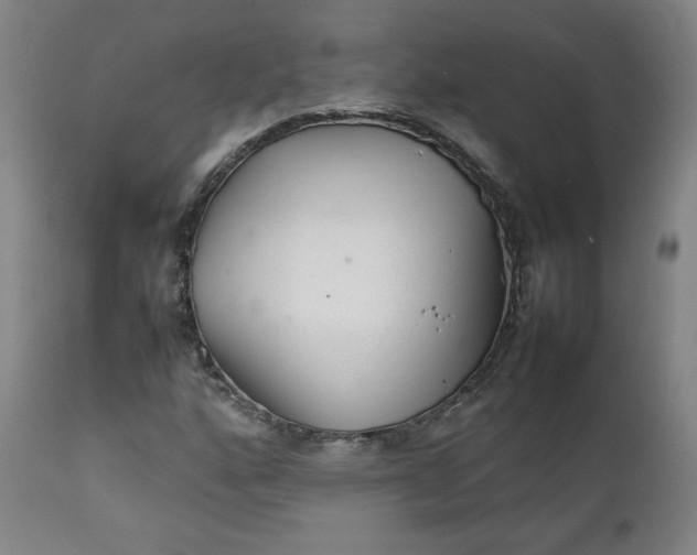 X0000111351160200907241152